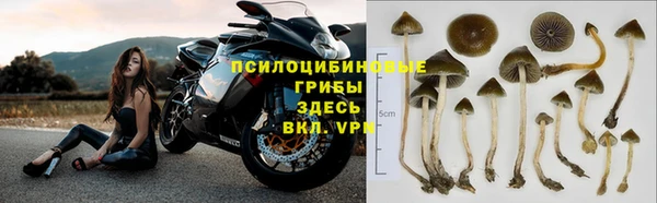 МДПВ Алексеевка