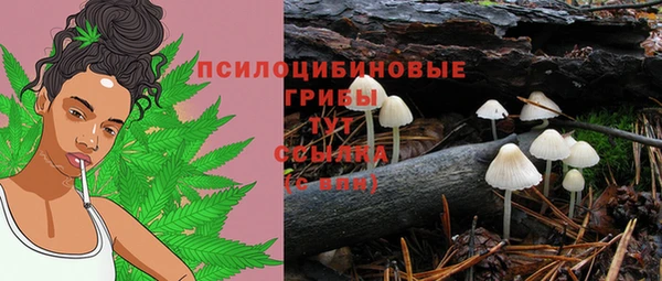 экстази Алексин