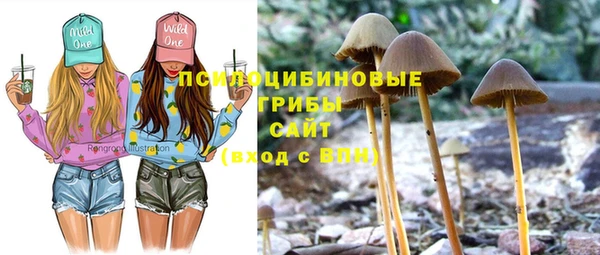 экстази Алексин