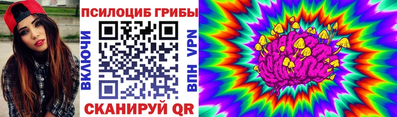 где продают кракен ссылки Псилоцибиновые грибы Magic Shrooms Чёрмоз